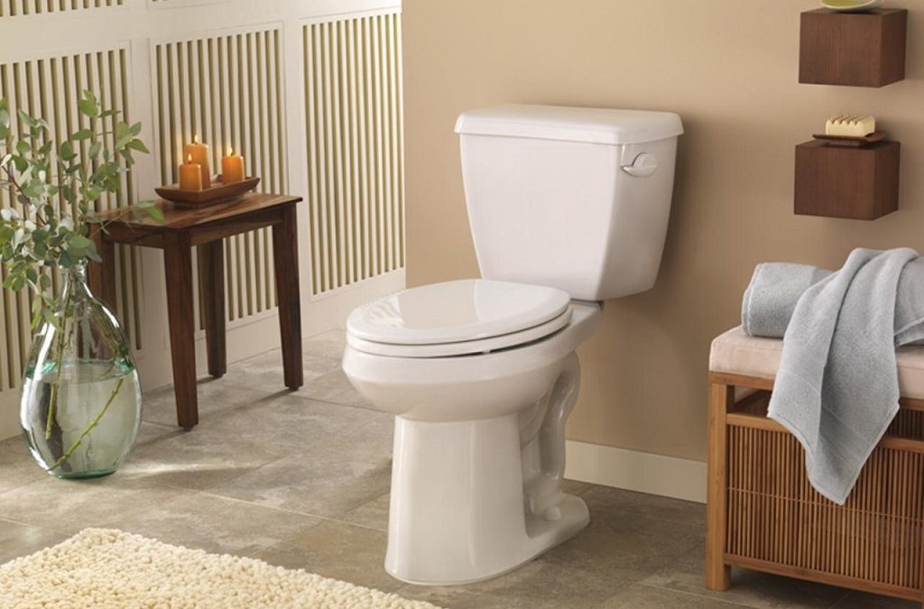 5 Helpful Tips for Choosing the Perfect Toilet