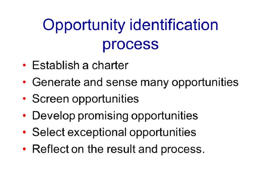 The Opportunity Identification Process