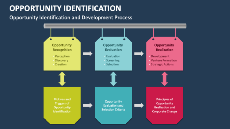 What are the Six Steps in Opportunity Identification Process